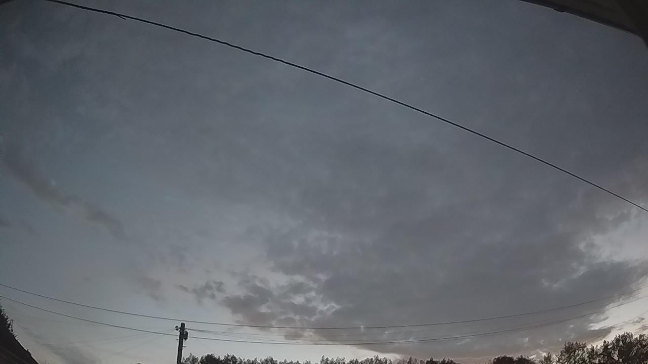 20260814_041145_cam2.jpg