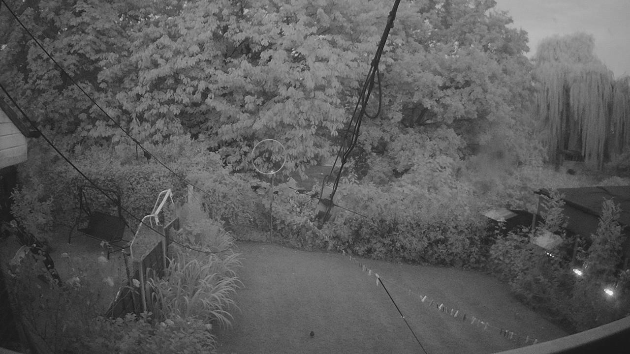 20260814_041630_cam1.jpg