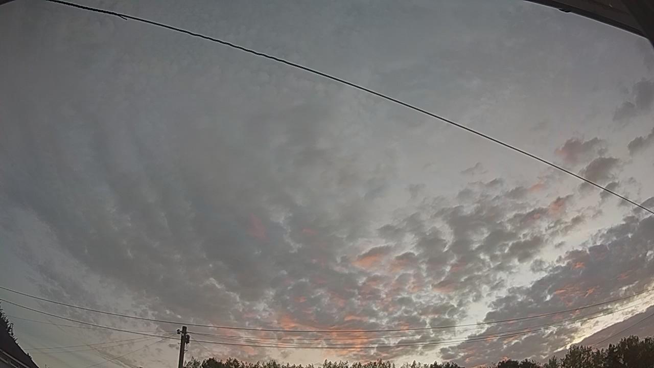 20260814_044459_cam2.jpg