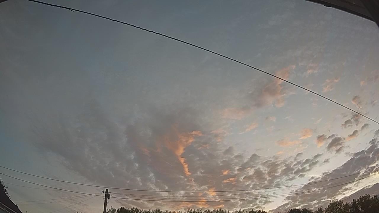 20260814_044944_cam2.jpg