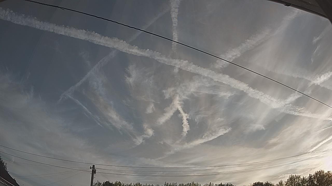 20260814_055229_cam2.jpg