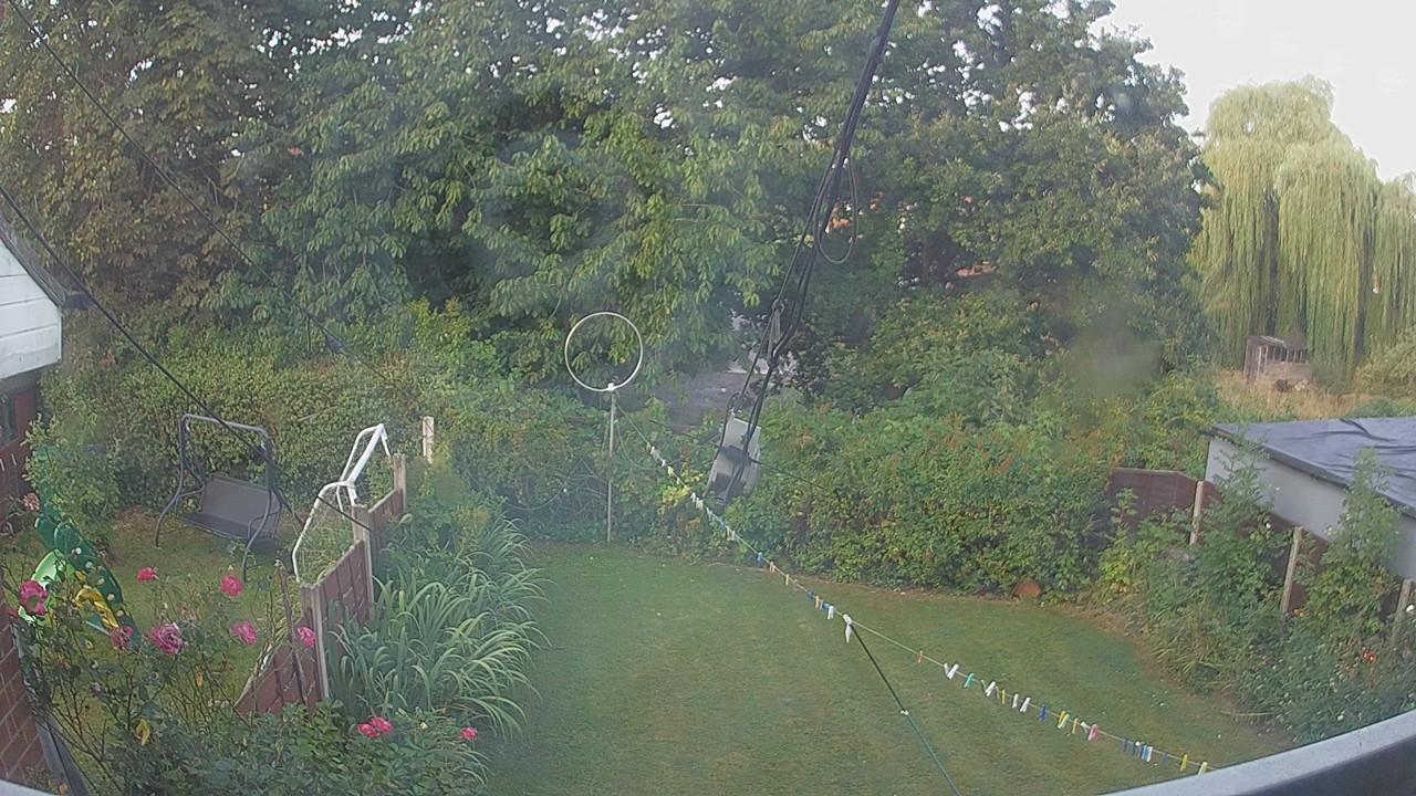 20260814_061129_cam1.jpg