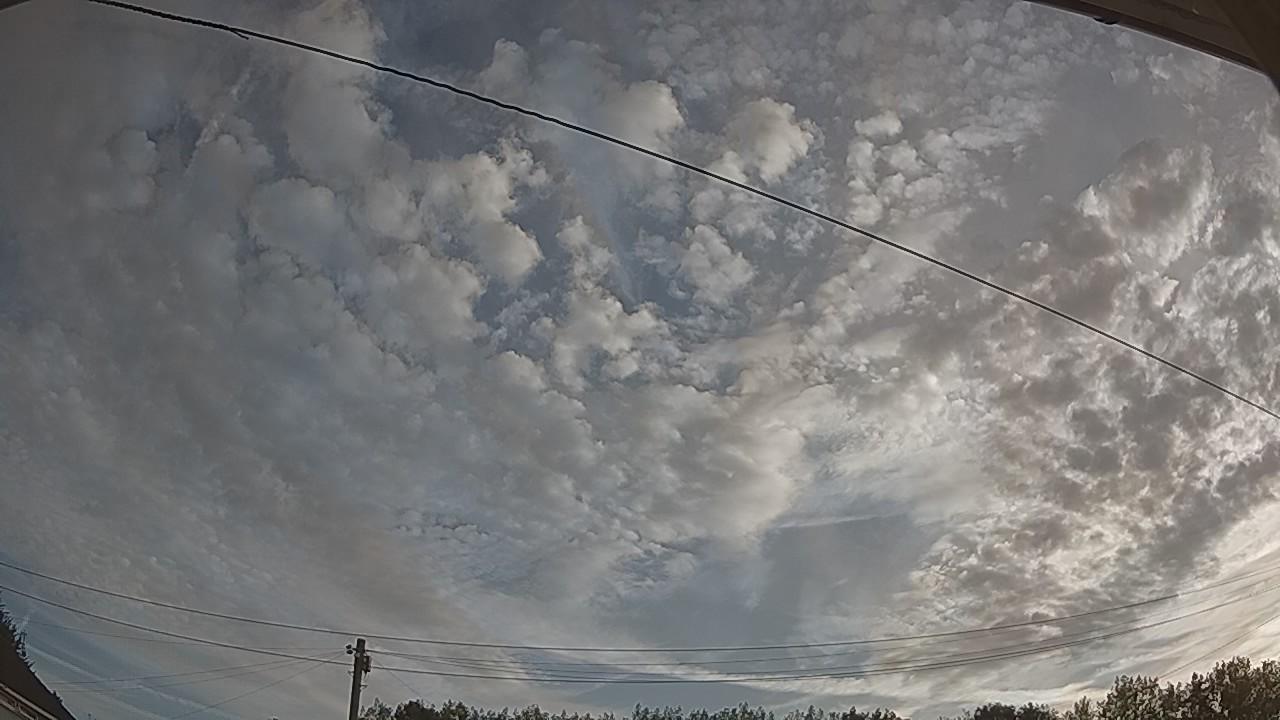 20260814_061130_cam2.jpg
