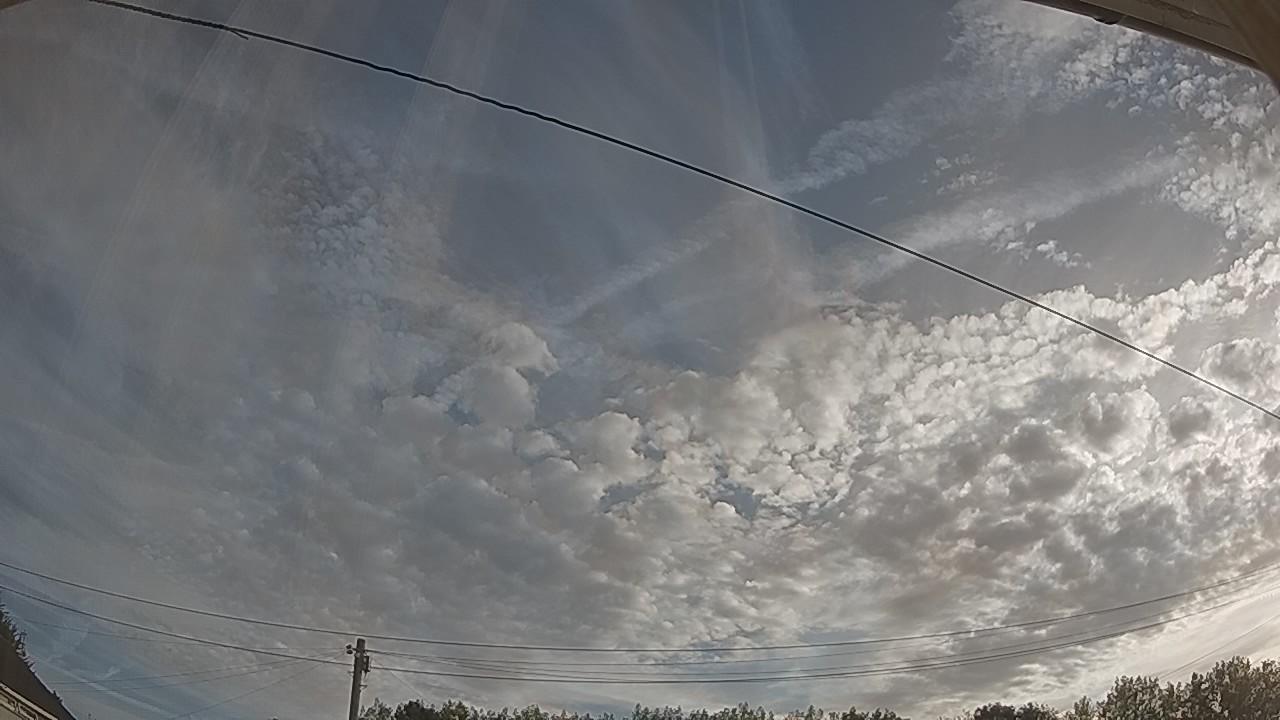 20260814_061615_cam2.jpg