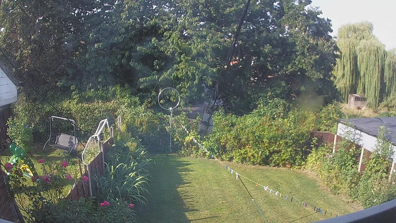 20260814_081326_cam1.jpg