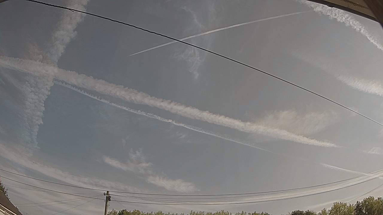 20260814_081803_cam2.jpg