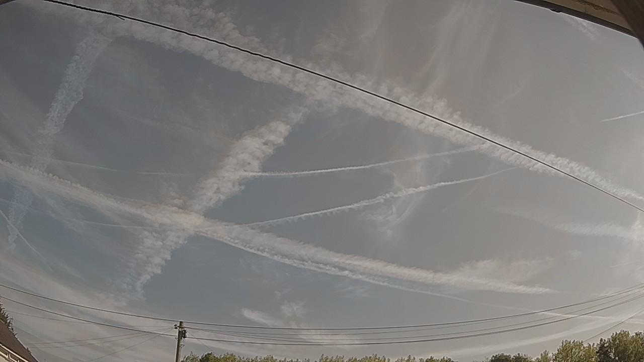 20260814_082240_cam2.jpg