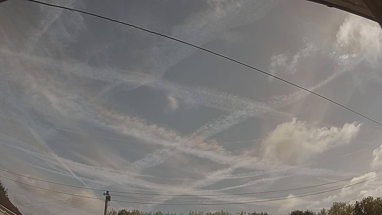 20260814_083135_cam2.jpg