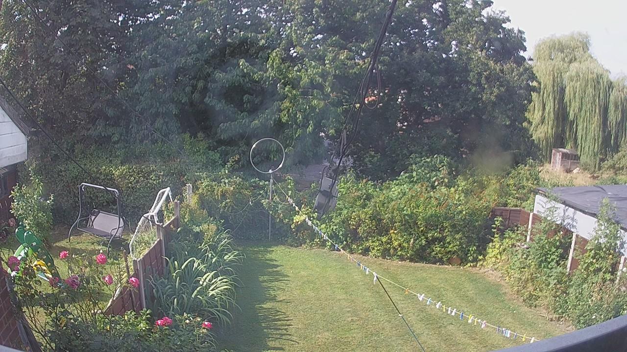 20260814_090125_cam1.jpg