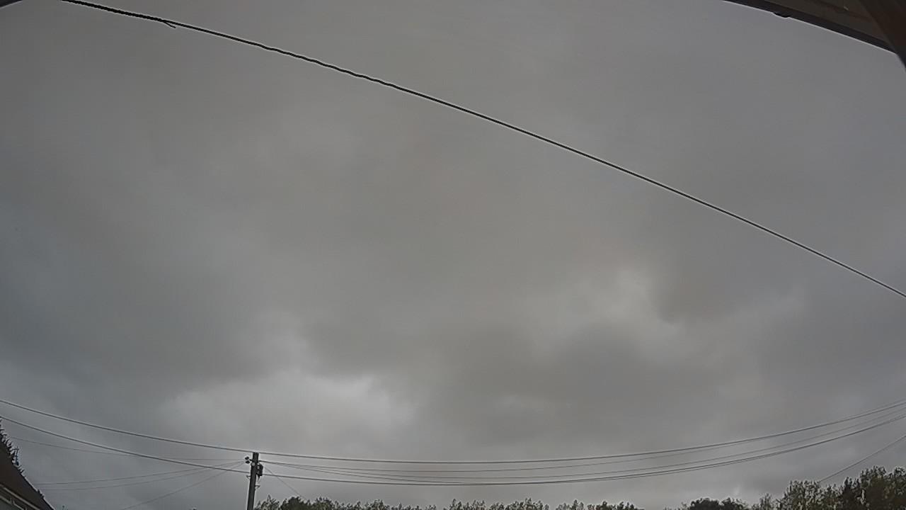 20260814_100016_cam2.jpg