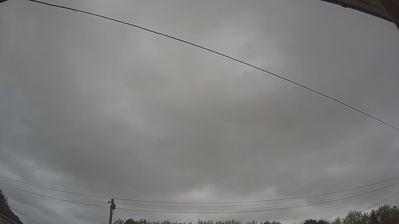20260814_100415_cam2.jpg
