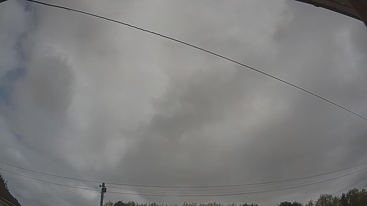 20260814_100815_cam2.jpg