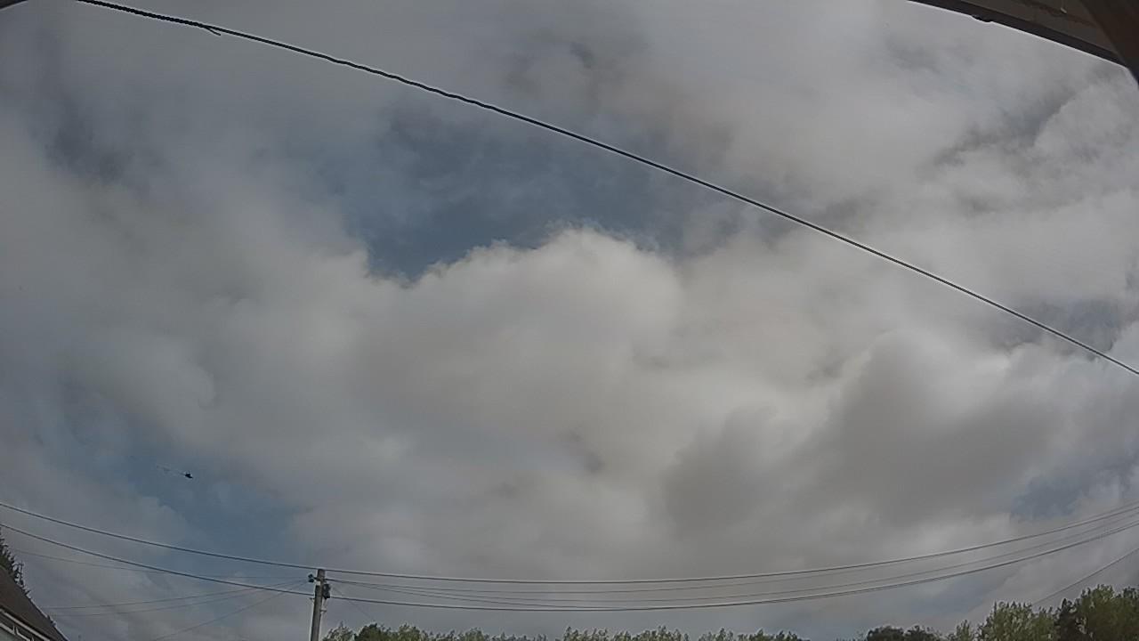 20260814_101615_cam2.jpg