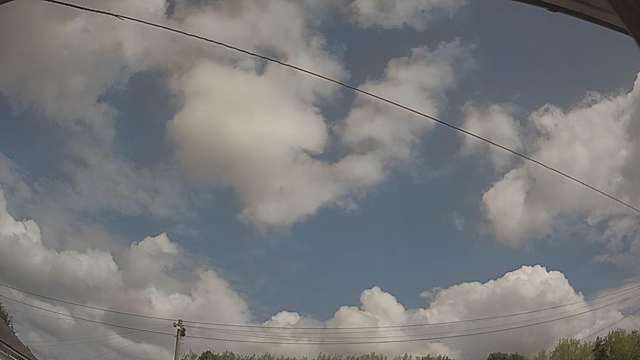 20260814_110924_cam2.jpg