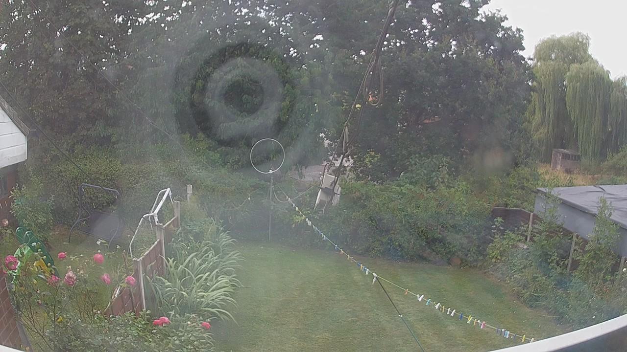 20260814_111706_cam1.jpg