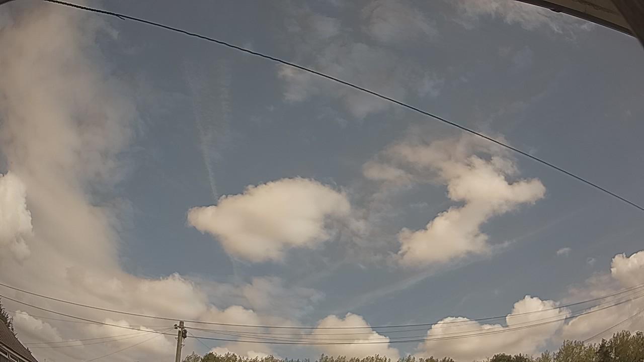 20260814_113828_cam2.jpg