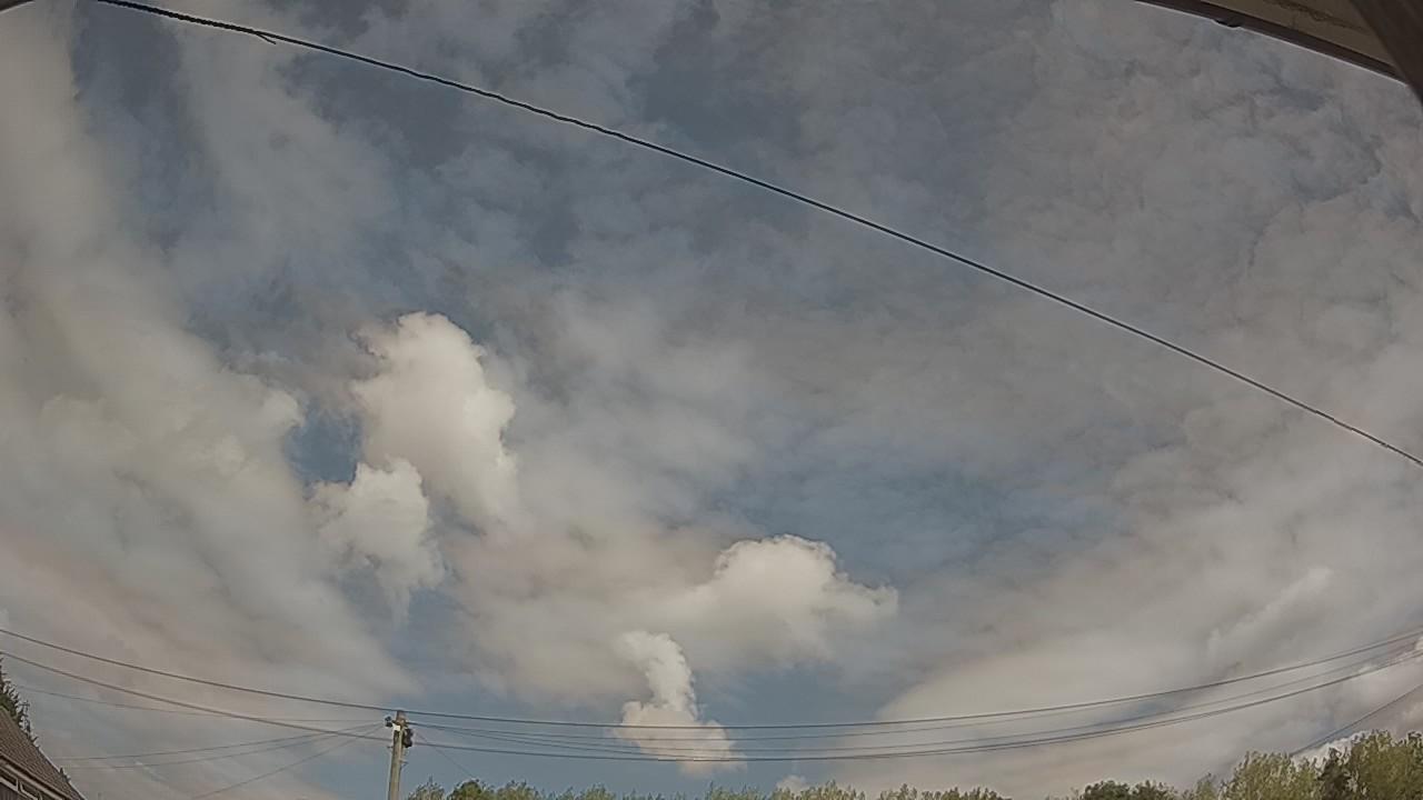 20260814_115205_cam2.jpg