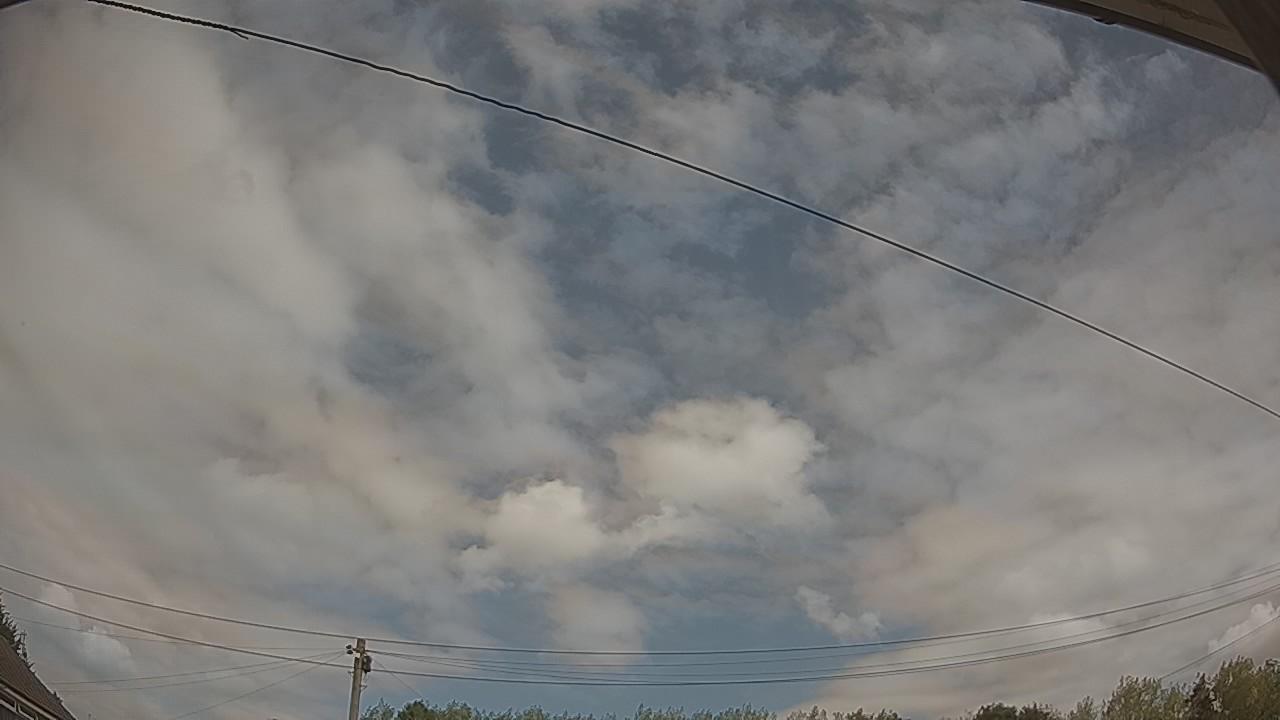 20260814_115528_cam2.jpg