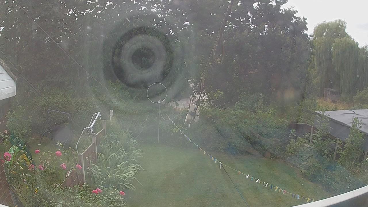 20260814_133603_cam1.jpg