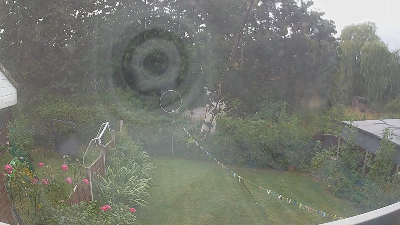 20260814_142011_cam1.jpg