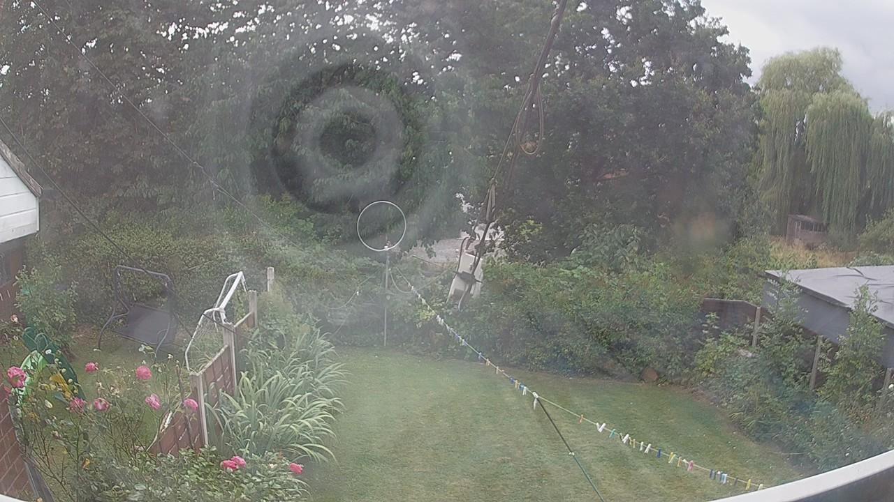 20260814_143005_cam1.jpg