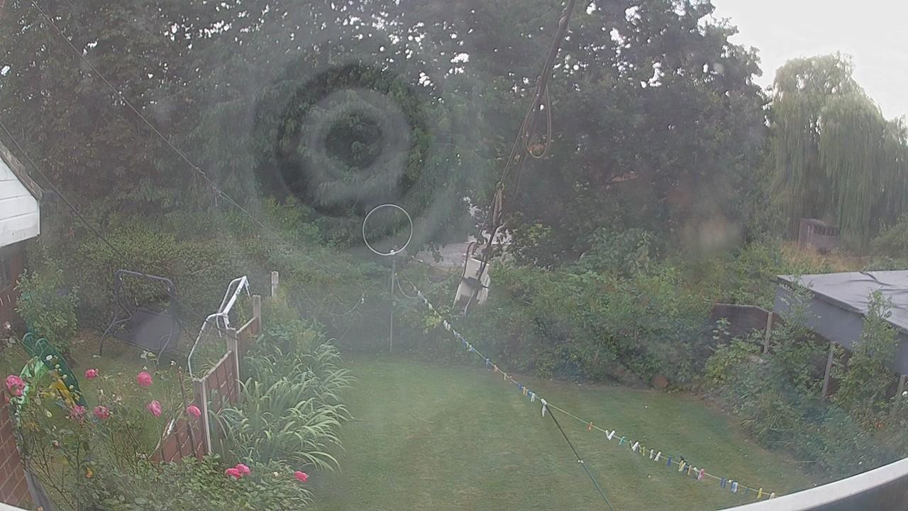 20260814_161856_cam1.jpg