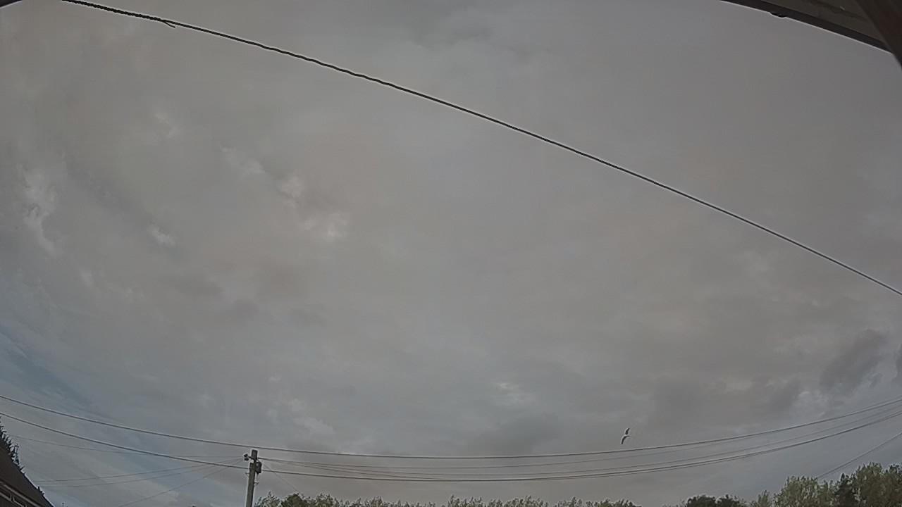 20260814_164223_cam2.jpg