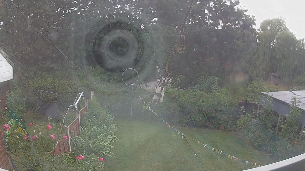 20260814_165207_cam1.jpg