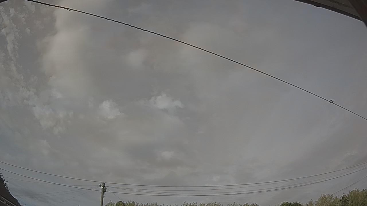 20260814_170937_cam2.jpg