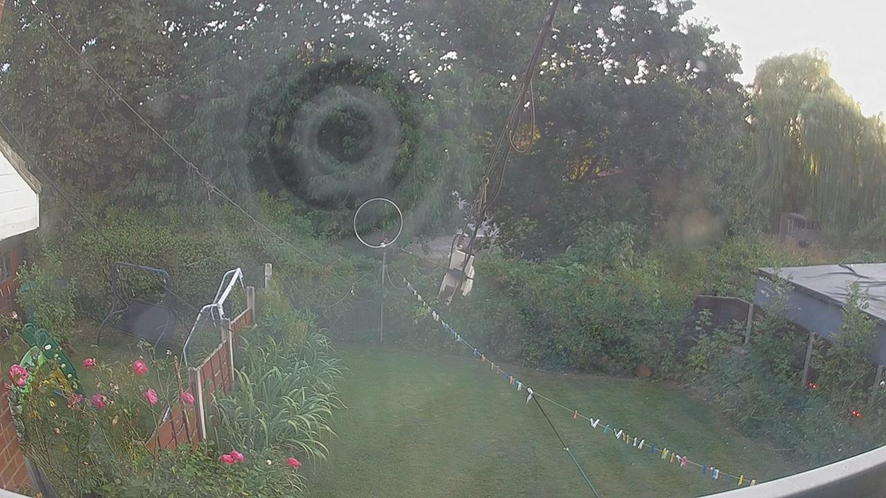 20260814_190026_cam1.jpg