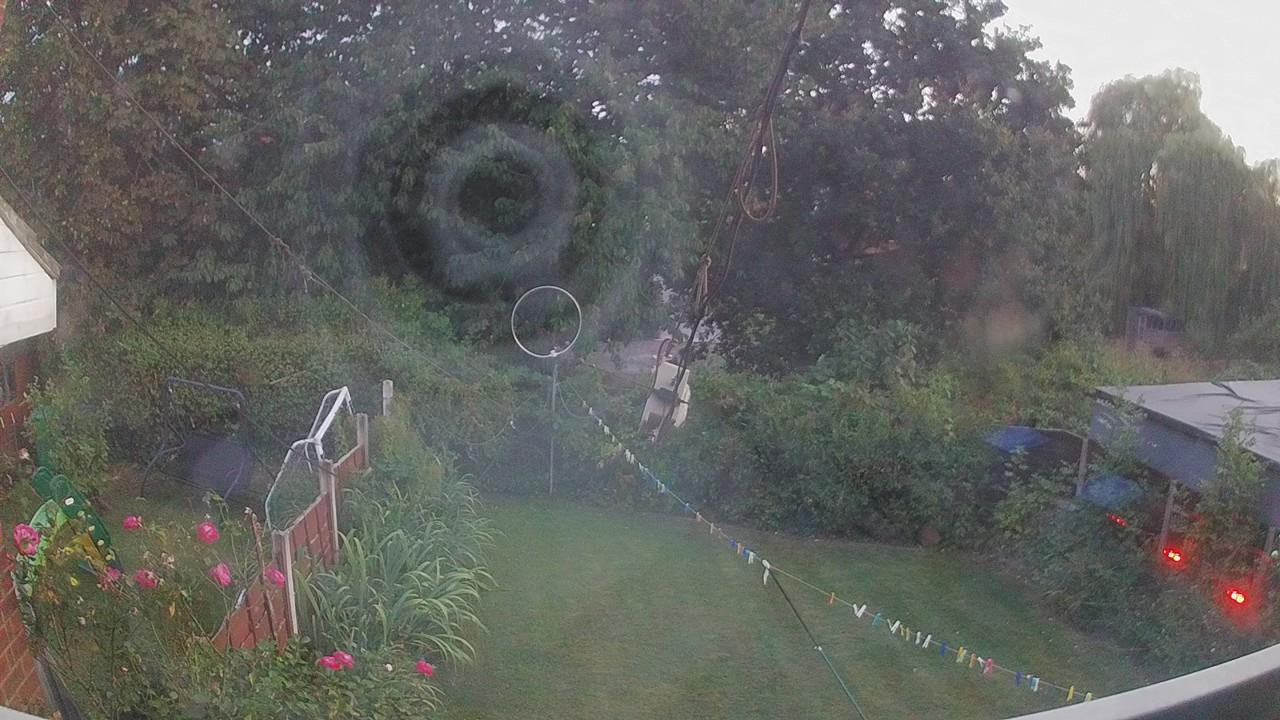 20260814_195609_cam1.jpg