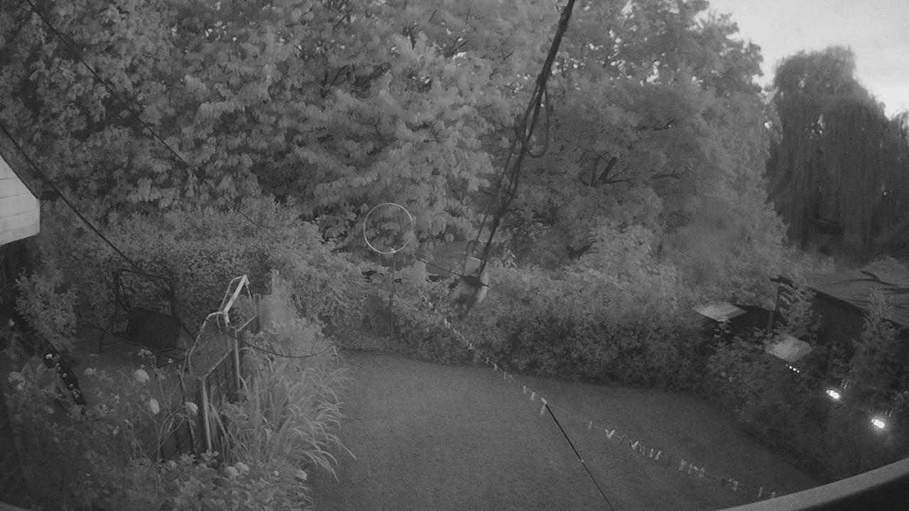 20260814_201440_cam1.jpg