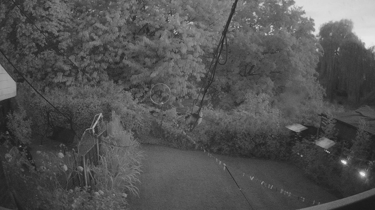 20260814_201822_cam1.jpg