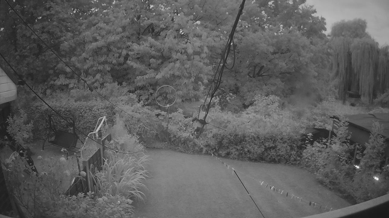 20260815_043024_cam1.jpg