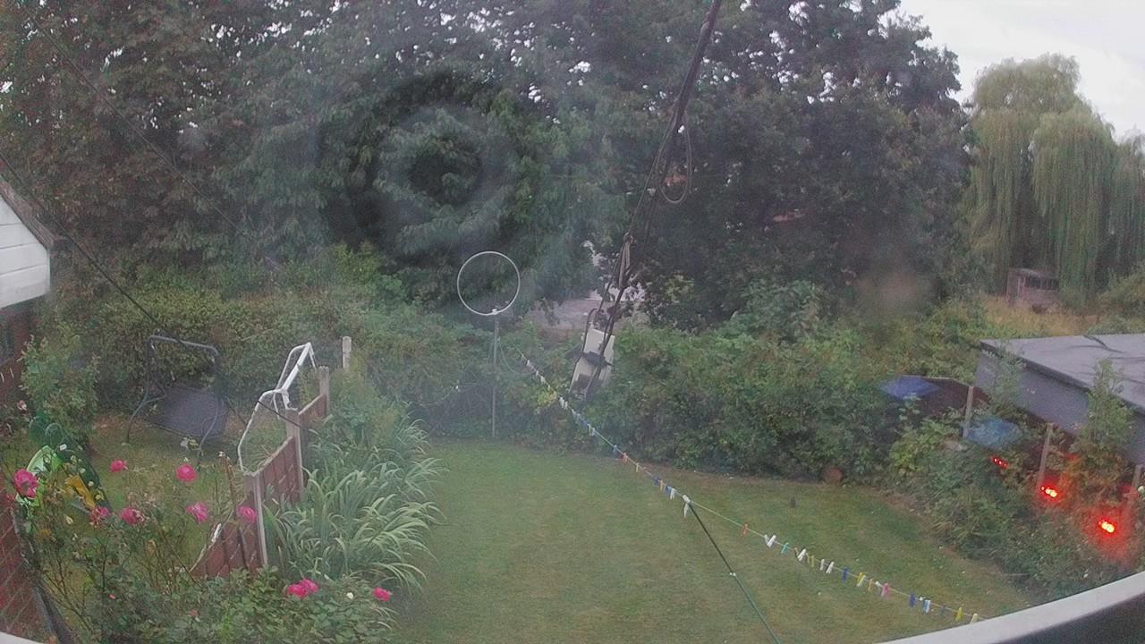 20260815_044438_cam1.jpg