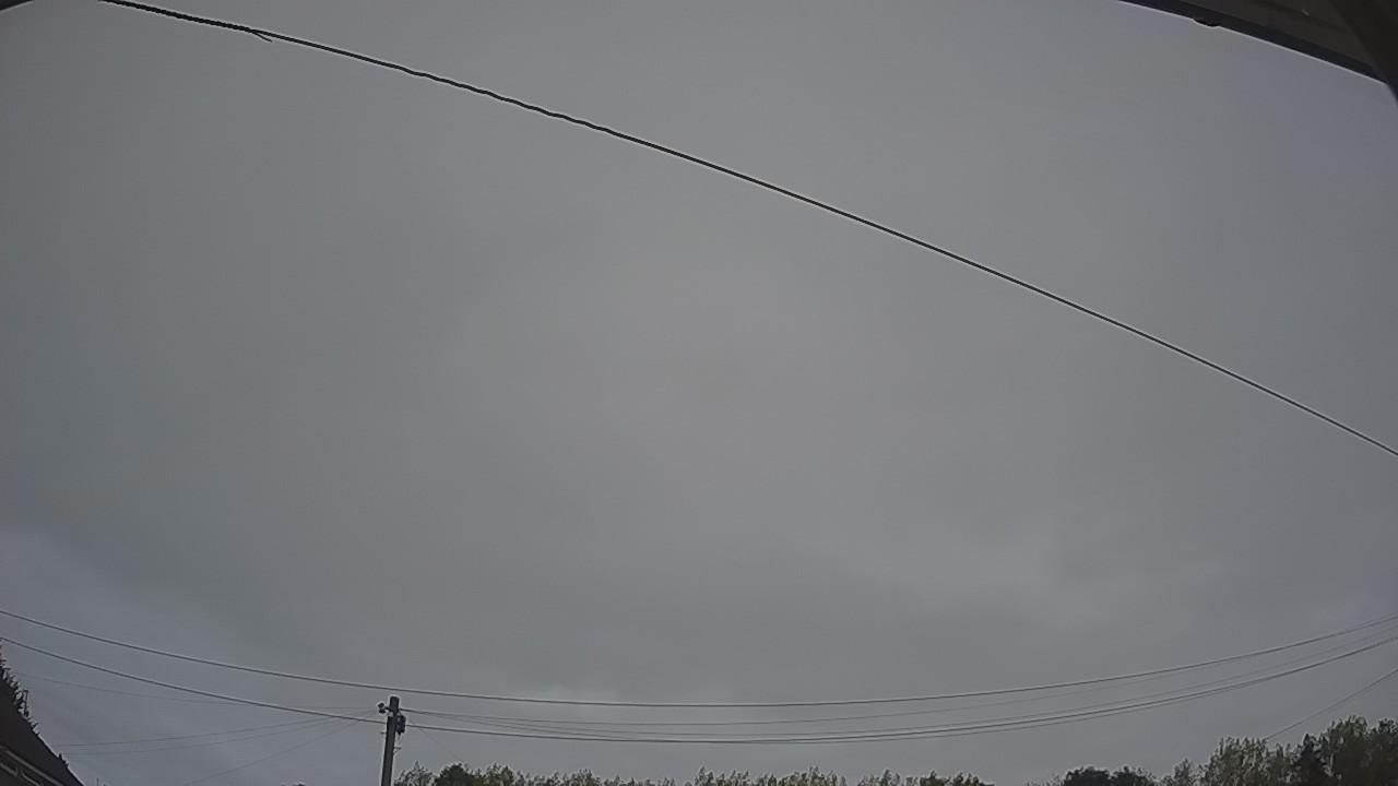 20260815_044439_cam2.jpg
