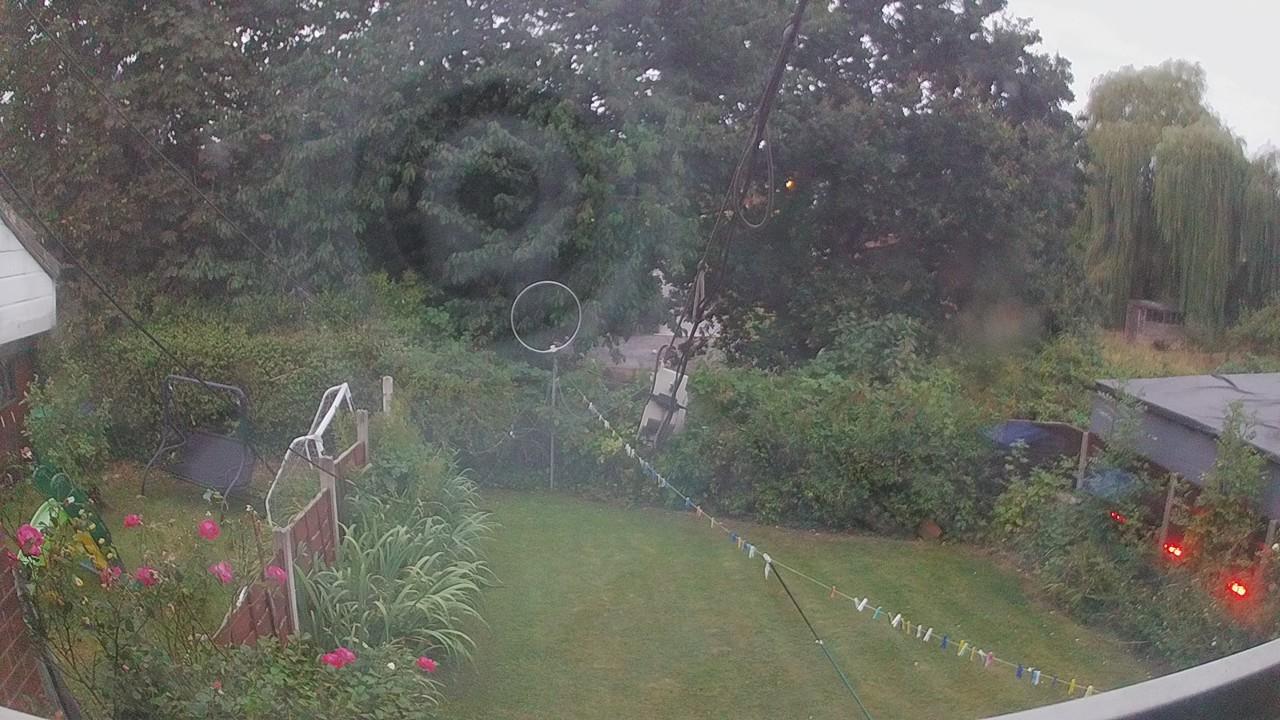 20260815_044923_cam1.jpg