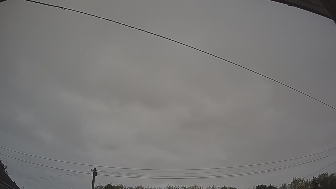 20260815_044924_cam2.jpg