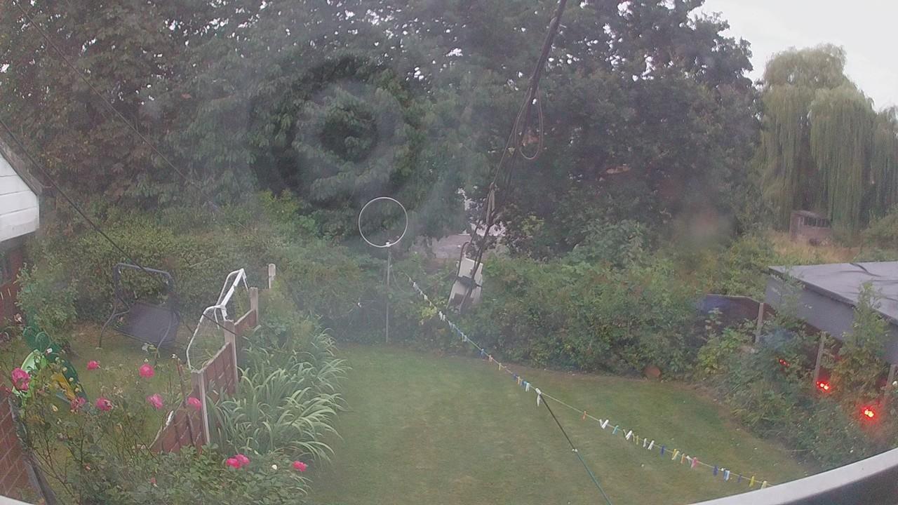 20260815_045408_cam1.jpg
