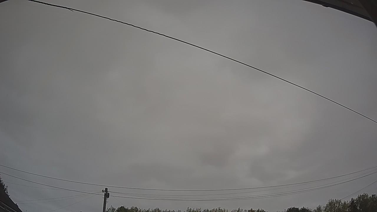 20260815_045409_cam2.jpg