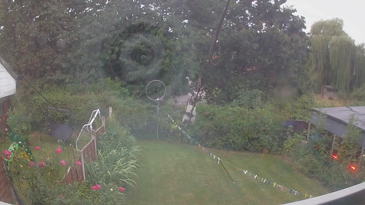 20260815_045854_cam1.jpg