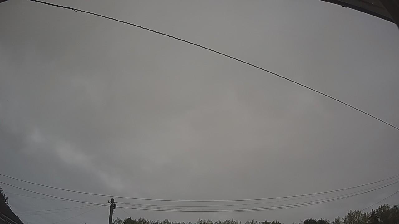 20260815_045855_cam2.jpg