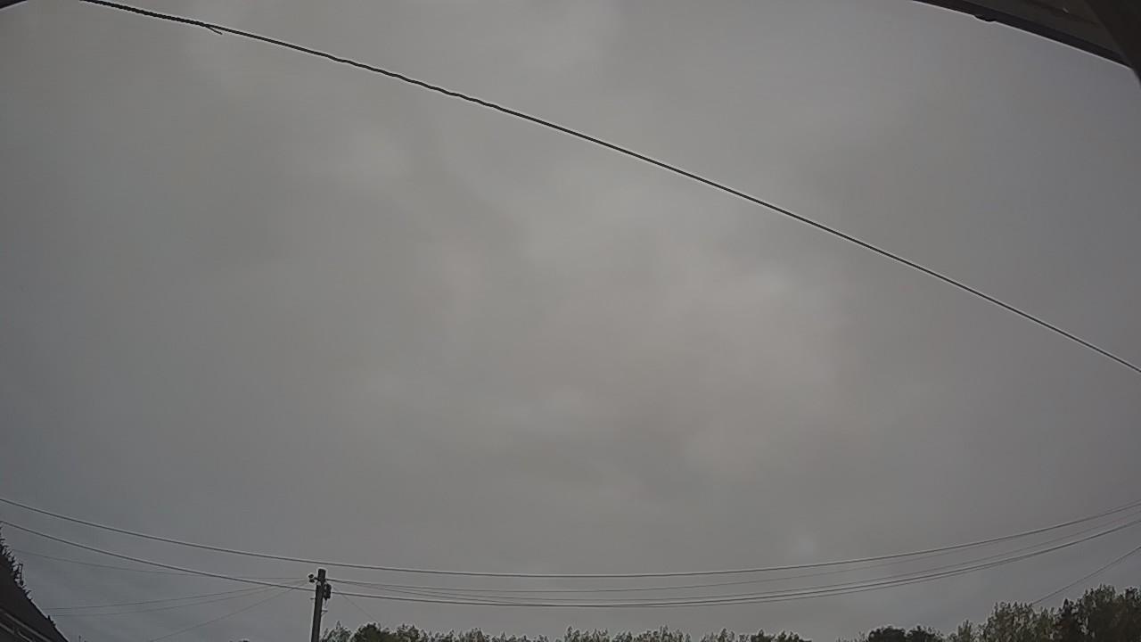 20260815_050313_cam2.jpg