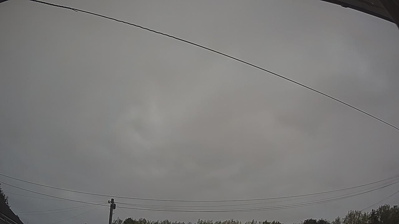 20260815_051149_cam2.jpg