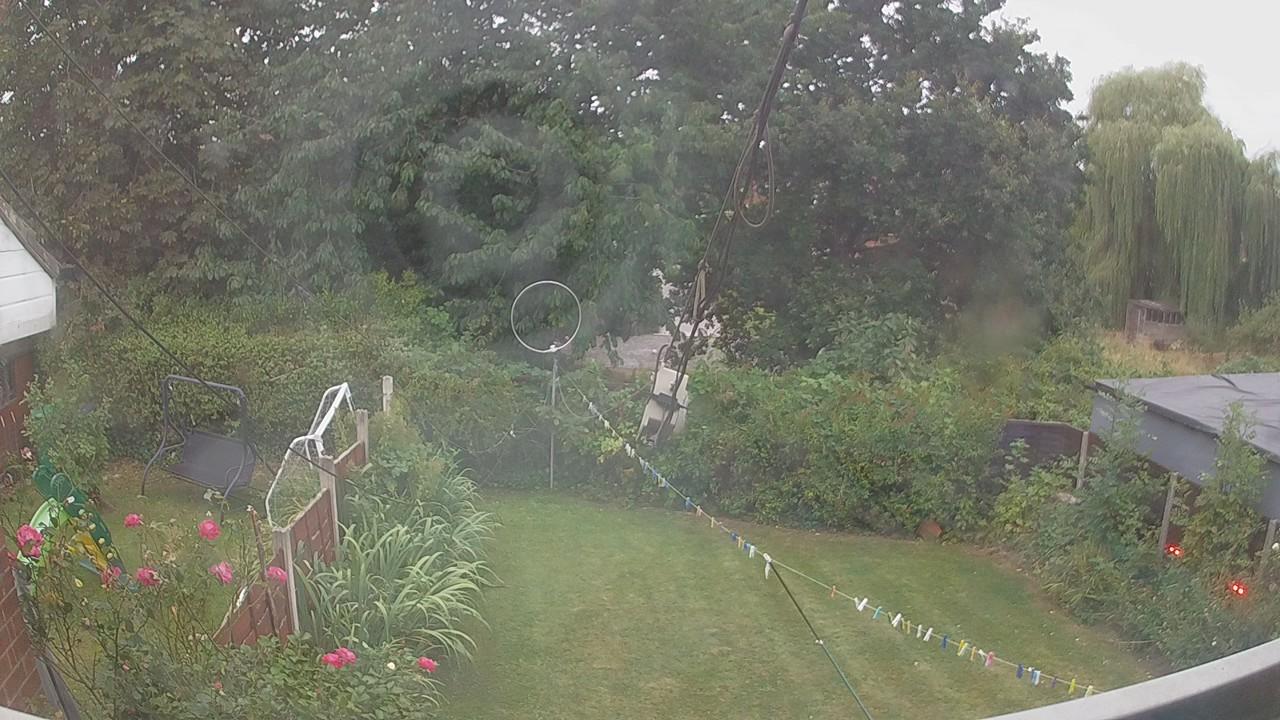 20260815_051606_cam1.jpg