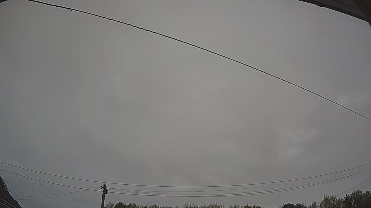 20260815_051607_cam2.jpg