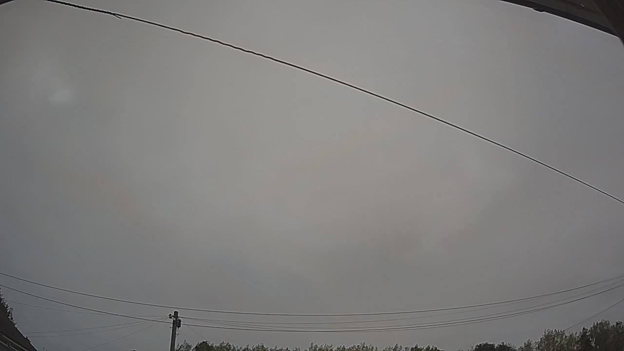 20260815_052443_cam2.jpg