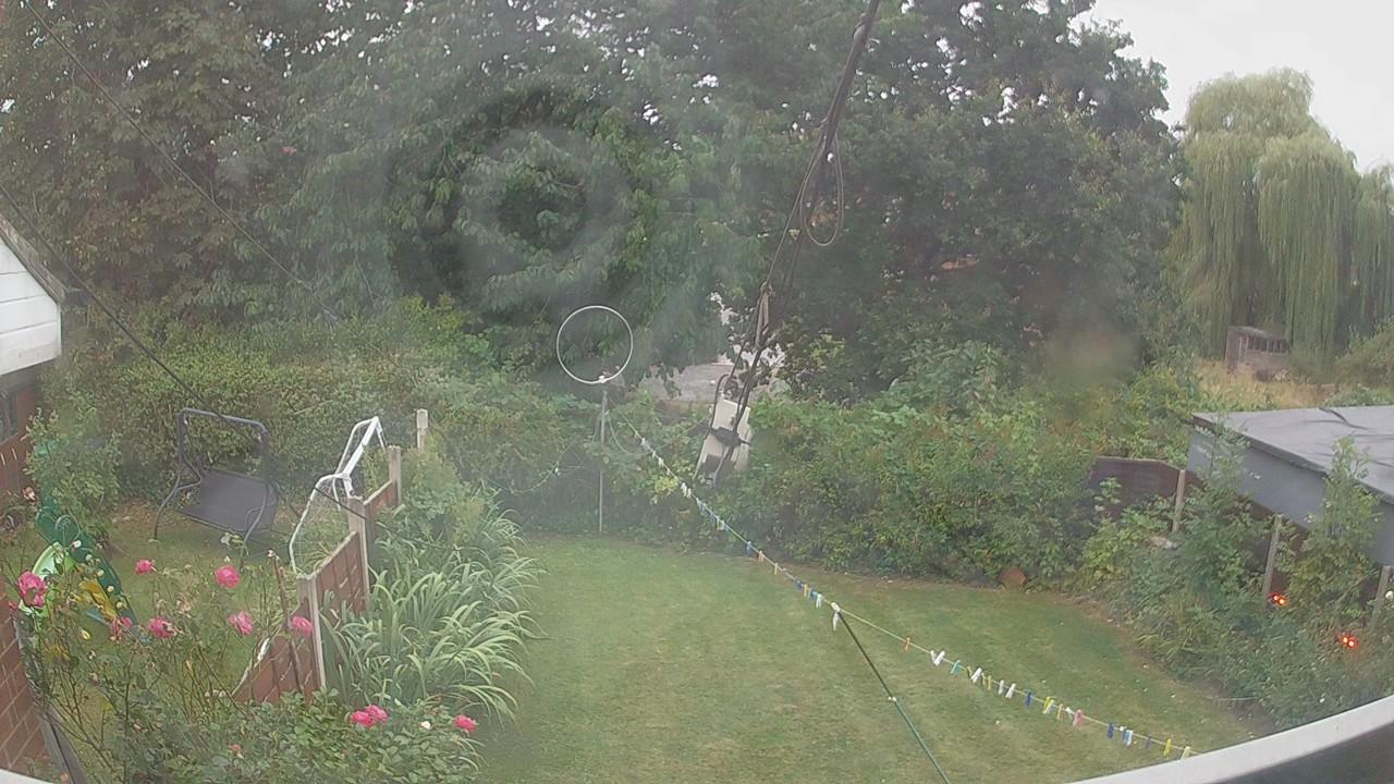20260815_052909_cam1.jpg