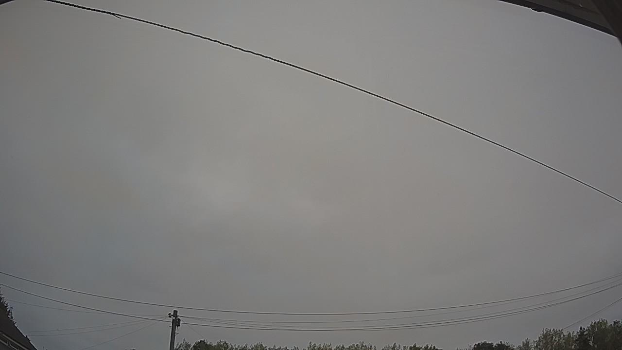 20260815_053337_cam2.jpg