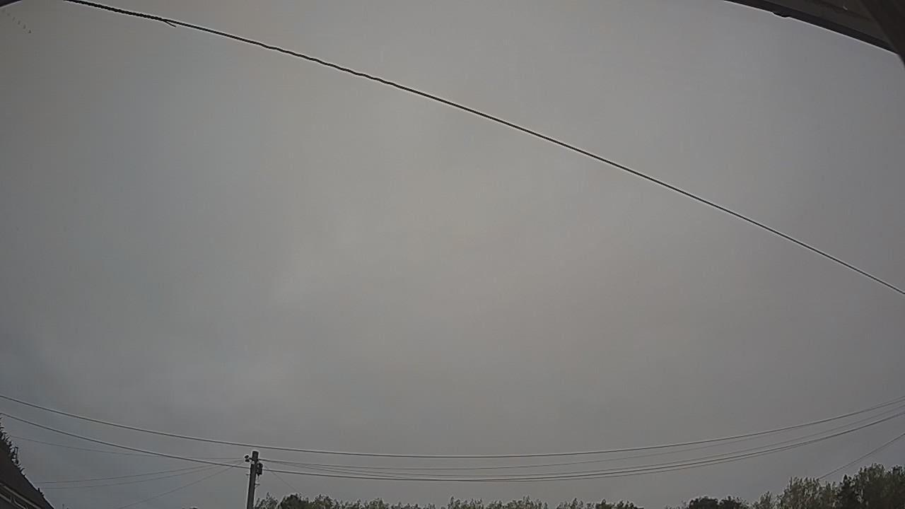 20260815_054232_cam2.jpg